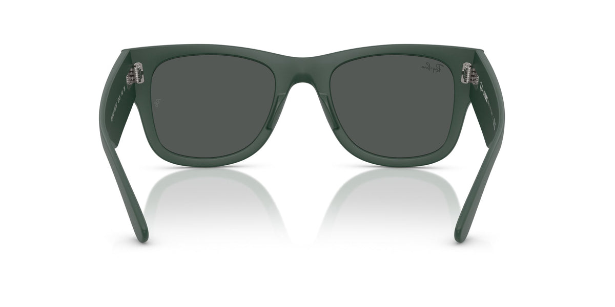 Ray-Ban RB4840S