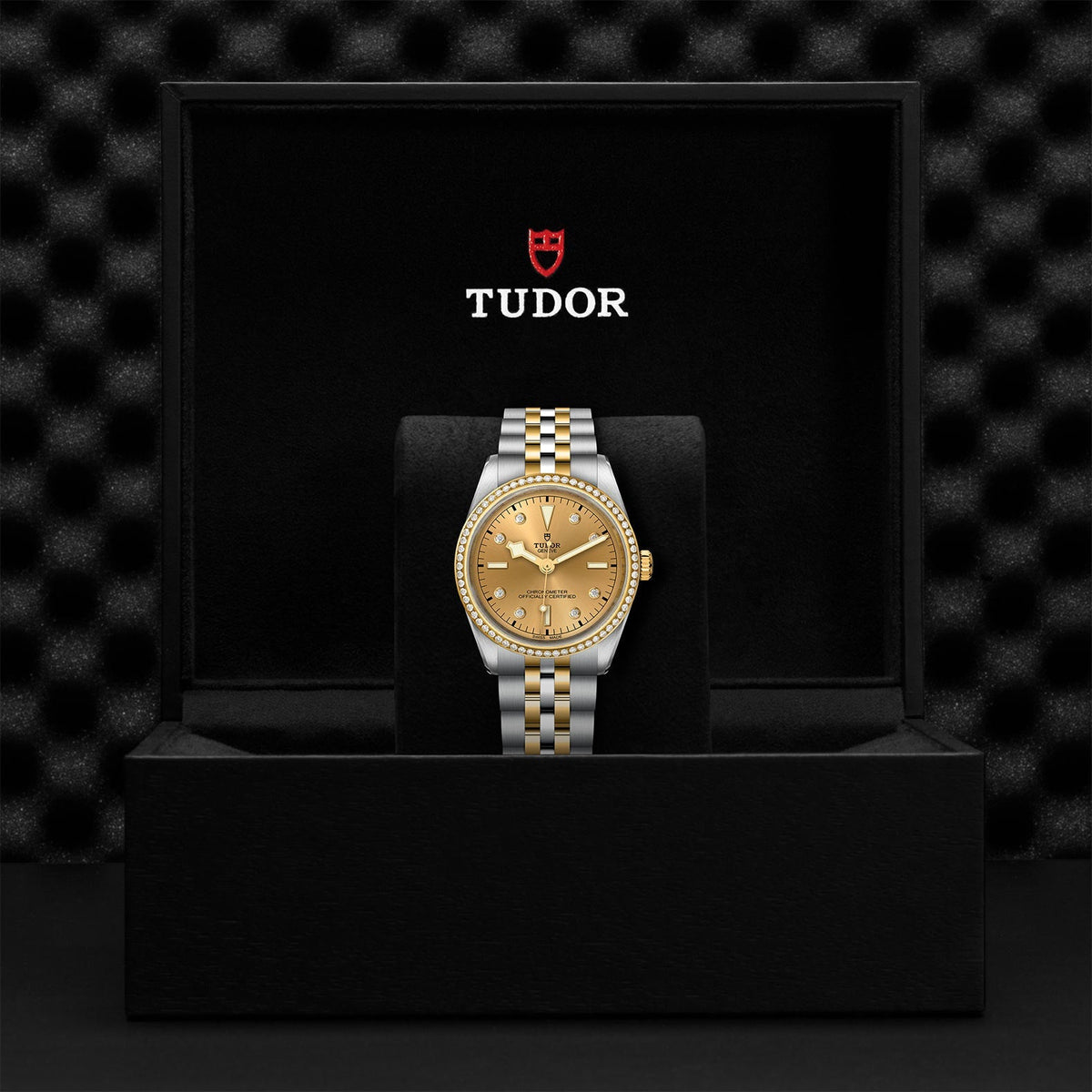 TUDOR Black Bay 36 S&G M79653-0007