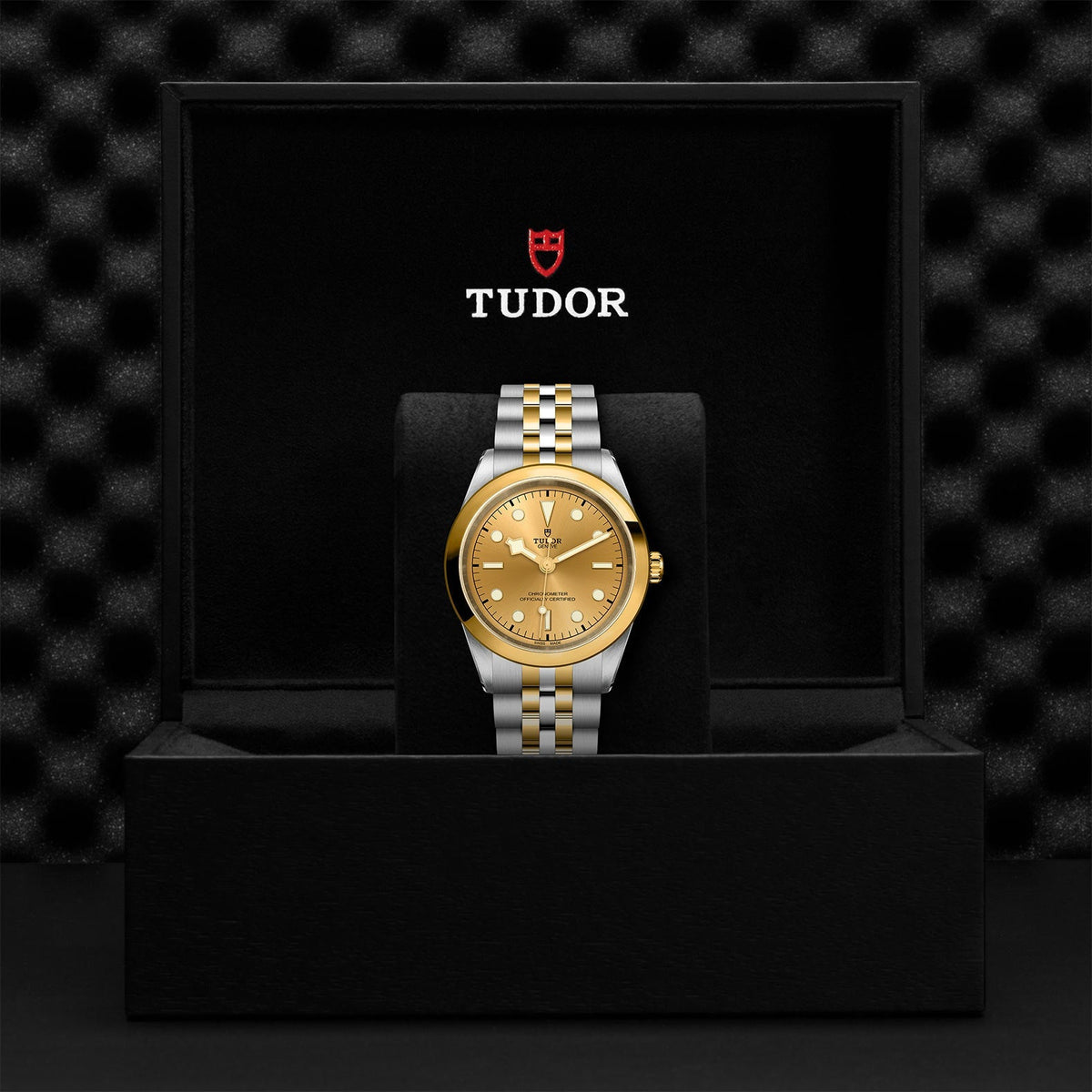 TUDOR Black Bay 41 S&G M79683-0005