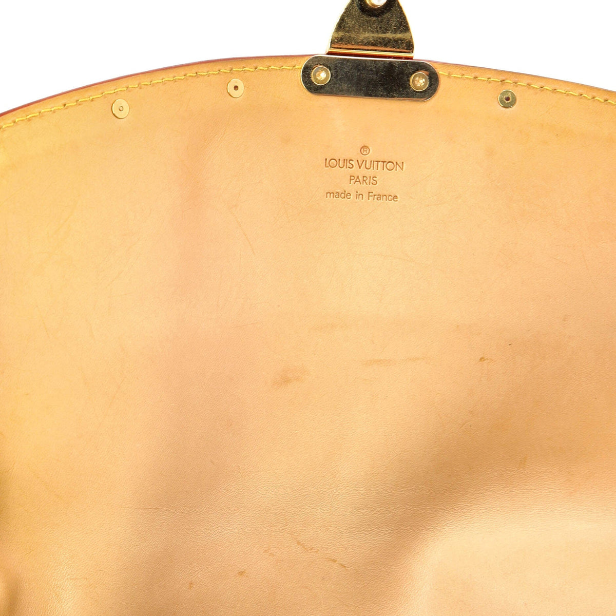 Sologne Handbag Monogram Multicolor